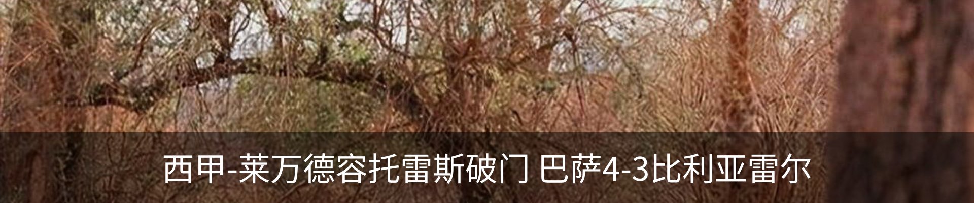 行业资讯